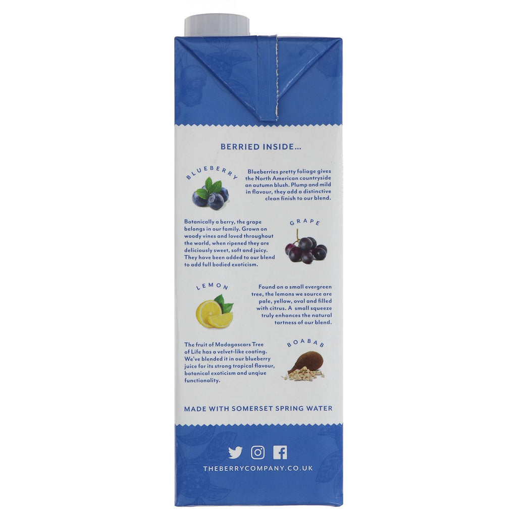 Berry Company Blueberry Juice - Perfectly Refreshing Gluten-Free and Vegan Drink