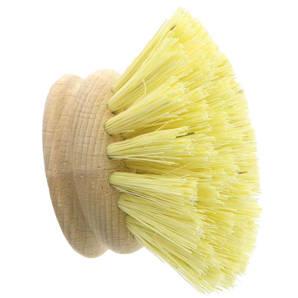 Ecoliving's Dishbrush Replacement Head - Vegan, biodegradable and plastic-free - perfect for eco-friendly kitchens!