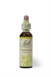 Bach Original Flower Remedies | Bach Original Flower Remedies Clematis | 20ml