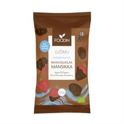 Foodin | FI Organic Raw Chocolate Coated Strawberry | 50g