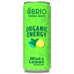 Brio Mate | BRIO MATE Organic Energy Drink Mint & Lemon 250ml | 250ml