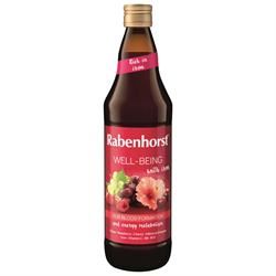 Rabenhorst | Rabenhorst Well-Being with Iron 750ml | 750ml