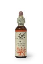 Bach Original Flower Remedies | Bach Original Flower Remedies Red Chestnut 20ml | 20ml