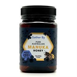 GATHERBY | Australian Manuka Honey 250+MGO 500g | 500g