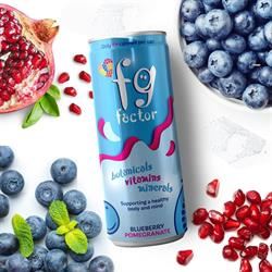 FG Factor | FG Factor Blueberry & Pomegranate Multivitamin Soft Drink | 250ml