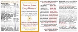 BioTech Life Sciences | Energise Super Vitamins & Minerals - worlds strongest | 90 capsule