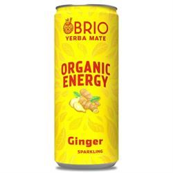 Brio Mate | BRIO MATE Organic Energy Drink Ginger 250ml | 250ml