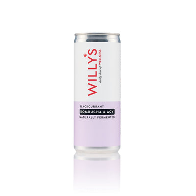 Willy's | Blackcurrant Kombucha & ACV | 250ml