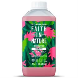 Faith in Nature |  Faith in Nature Dragon Fruit Shampoo 2.5 Litre | 2.5l