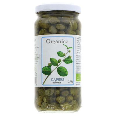 Organico | Capers | 250G