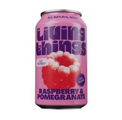 Living Things |  Living Things Raspberry & Pomegranate Pre + Probiotic Soda | 330ml