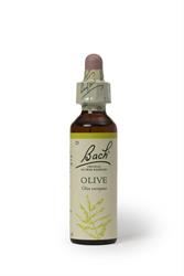 Bach Original Flower Remedies | Bach Original Flower Remedies Olive 20ml | 20ml