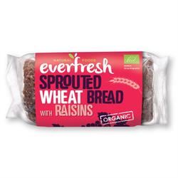 Everfresh Natural Foods | Organic Sprouted Wheat Raisin Bread 400g | 400g