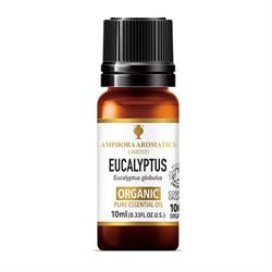 Amphora Aromatics | Eucalyptus Organic Essential Oil 10ml | 10ml