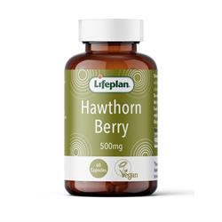 Lifeplan | Hawthorn 500mg 60 capsules | 60 capsule