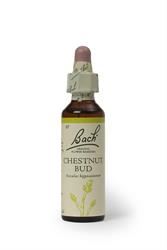 Bach Original Flower Remedies | Chestnut Bud 20ml | 20ml