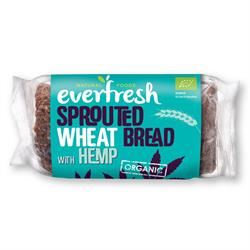 Everfresh Natural Foods | Organic Sprouted Wheat Hemp Bread 400g | 400g