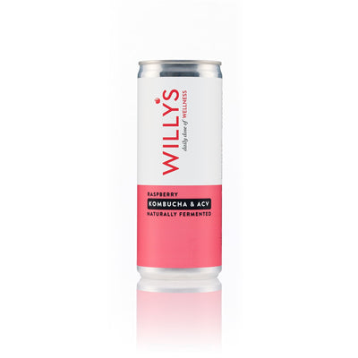 Willy's | Raspberry Kombucha & ACV | 250ml