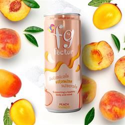 FG Factor | FG Factor Peach and Mango Mind and Body Multivitamin Soft Drink | 250ml