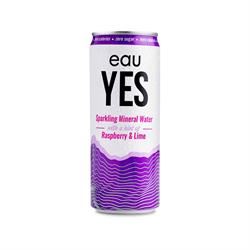 eauYES Sparkling Mineral Water | eauYES Raspberry & Lime Sparkling Mineral Water 330ml | 330ml