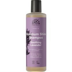 Urtekram | Soothing Lavender Shampoo Normal Hair 250ml | 250ml