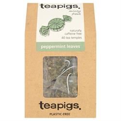 Teapigs | Peppermint leaves 40 tea temples | 40bag