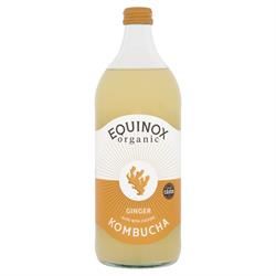 Equinox Kombucha | Equinox Organic Ginger Kombucha 750ml | 750ml