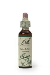 Bach Original Flower Remedies | Bach Original Flower Remedies Walnut 20ml | 20ml