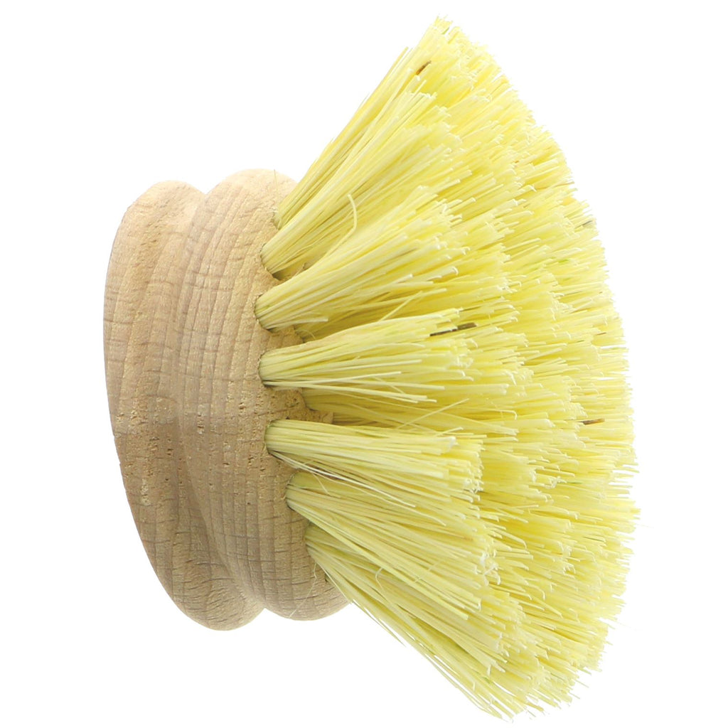 Ecoliving | Dishbrush Replacement Head - For wooden dishbrushes | heads