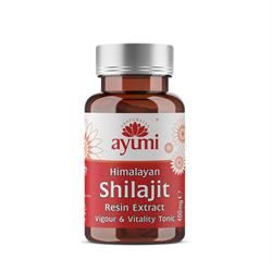 Ayumi | Ayumi Shilajit Extract Vegan Capsule - 60 caps | 24g