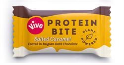 Vive | Salted Caramel Choc Mini 20g | 20g