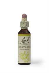 Bach Original Flower Remedies | Bach Original Flower Remedies Honeysuckle 20ml | 20ml