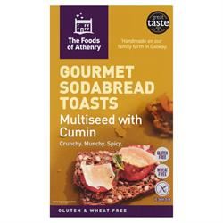 The Foods Of Athenry | GF Multiseed Cumin Toasts 110g | 100g