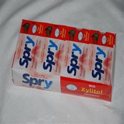 Spry | Cinnamon Xylitol Gum - 10 pieces | 10pieces