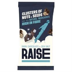 RAISE Snacks | Dark Chocolate & Sea Salt Clusters of Nuts and Seeds 35g | 35g