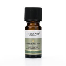 Tisserand | Tisserand Siberian Fir Wild Crafted Essential Oil (9ml) | 9ml