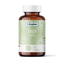 Lifeplan | Sage 300mg x 120 | 120 capsule