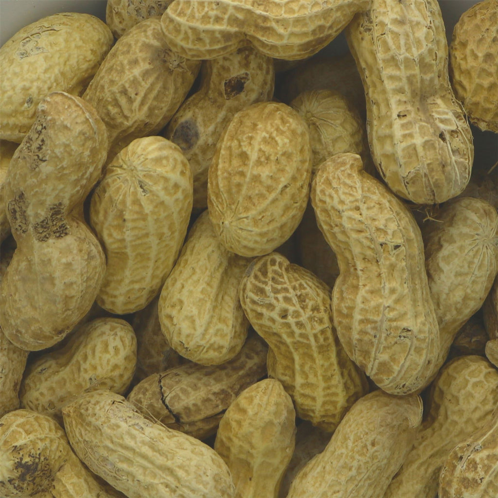 Suma | Peanuts - Roasted in Shell | 10kg