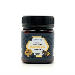 GATHERBY | Gather By Australian Manuka Honey 800+MGO 250g | 250g