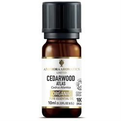 Amphora Aromatics | Organic Cedarwood Atlas Essential OIl 10ml | 10ml