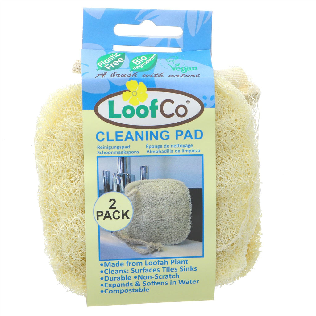 Loofco | Cleaning Pad 2 Pack | 2 PACK