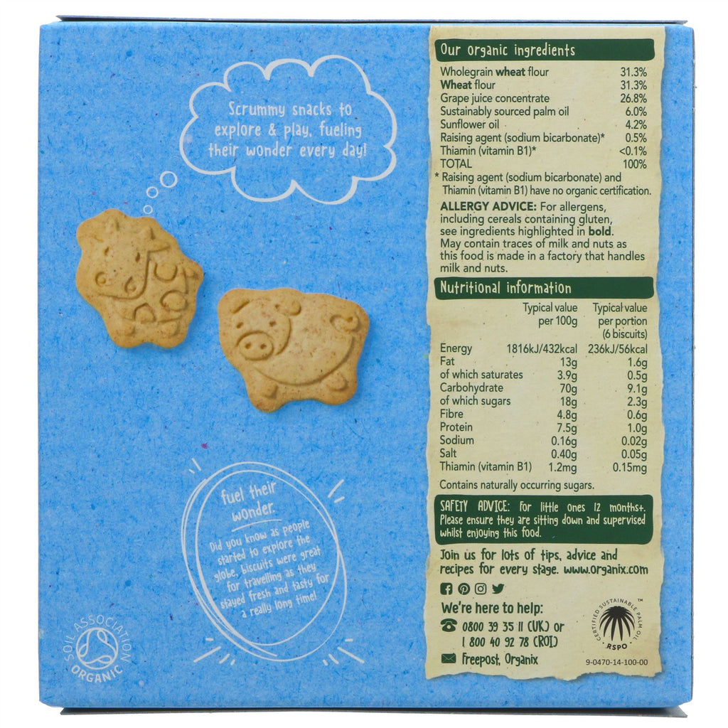 Organic & vegan animal biscuits 100g - perfect snack for little ones from 12 months | Wholegrain & grape juice sweetened